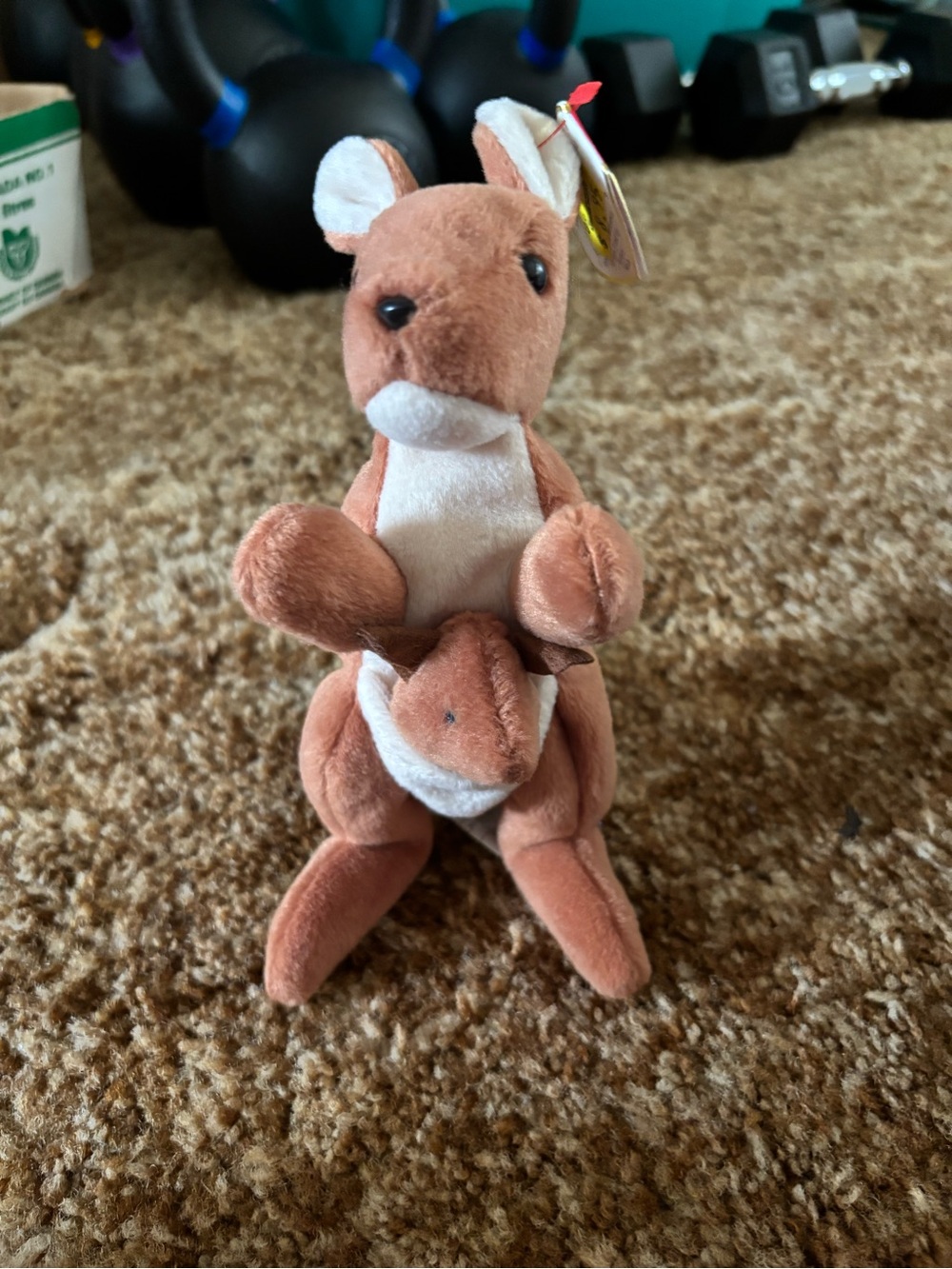 TY Beanie Baby Kangaroo named Pouch